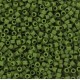 Miyuki delica Perlen 11/0 - Opaque matte avocado DB-1585